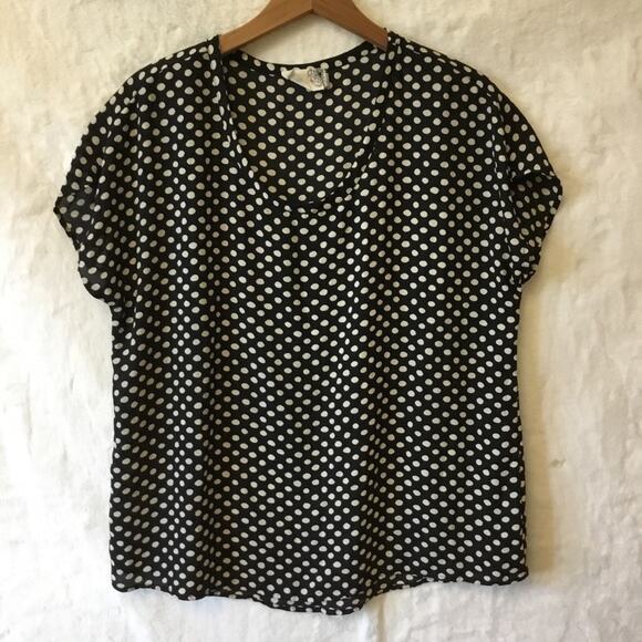 everleigh Tops - Everleigh Black Polka Dot Short Sleeve Round Top
